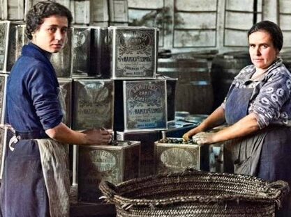 LA CULTURA DEL ACEITE Y EL CULTIVO DEL OLIVAR EN LA HISTORIA DE ANDALUCÍA