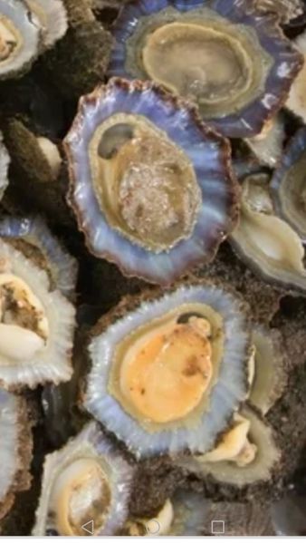 LES HISTORIES DE FIDALGO – DE TORTILLAS Y OTRAS COSAS