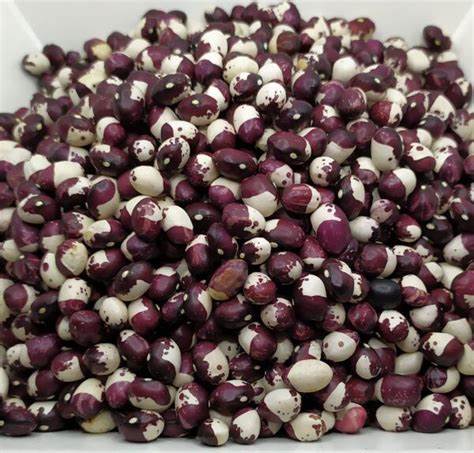 LES HISTORIES DE FIDALGO – NAVELGAS (TINEO-ASTURIAS) Y SU POTE DE BERZAS