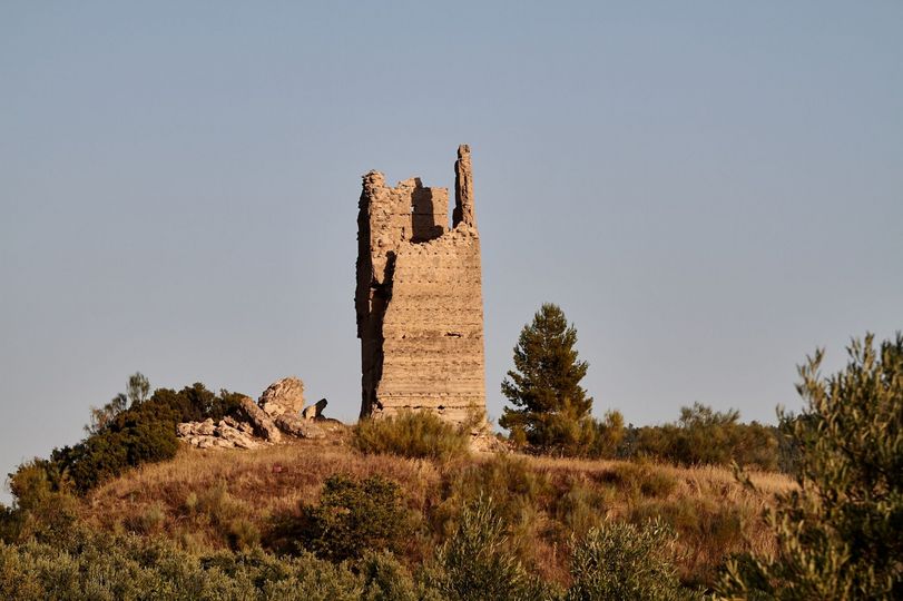 TRABAJOS DE PROSPECCIÓN ARQUELÓGICA DE LA TORRE DE HACHES EN BOGARRA