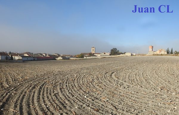 SALUDO FUENTEPIÑELANO 3276 – OTOÑO