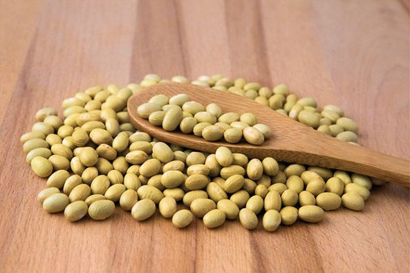 LES HISTORIES DE FIDALGO-FABES DE LA GRANJA (O DEL CURA) Y FABES  «DE LA CENA DEL CURA».-