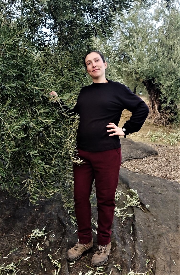 SANTY HERREROS ALIAGA  UNA “ACEITUNERA ALTIVA», PASIÓN POR EL OLIVAR.