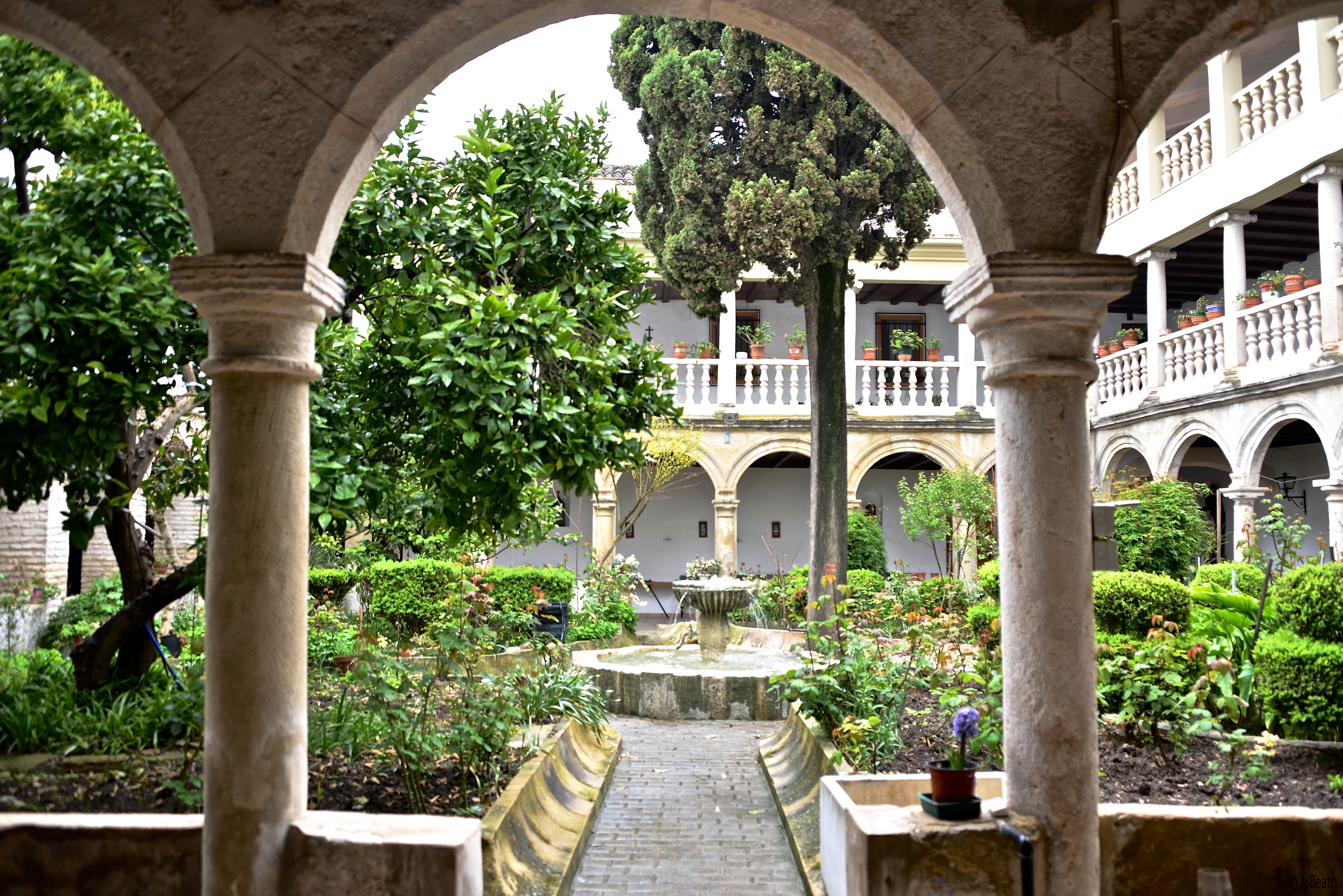 AGRICULTURA Y GANADERÍA (I) MOLINOS DE ACEITE EN VILLANUEVA DEL ARZOBISPO 1630. CARTA DEL REY FELIPE IV A LAS MONJAS DOMINICAS.