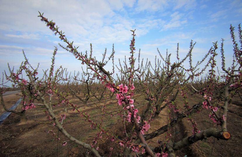 UN NUEVO MES QUE VA DEL CORAZÓN A LOS ASUNTOS.