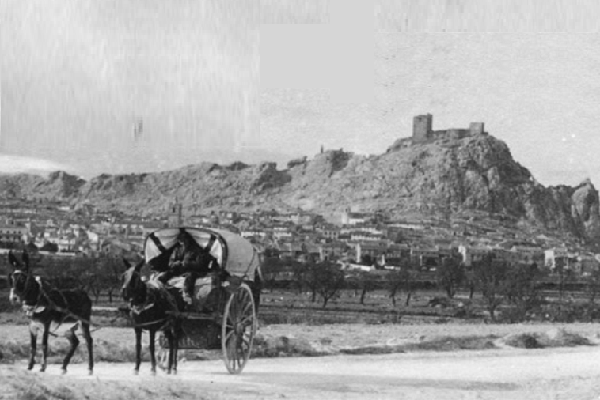 UN CENSO DE MULAS Y CARROS EN SAX EN 1558