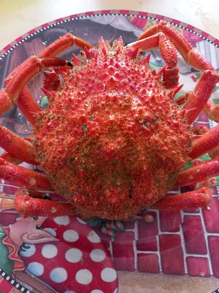 LES HISTORIES DE FIDALGO-DE SIDRA POR UN CENTOLLU…