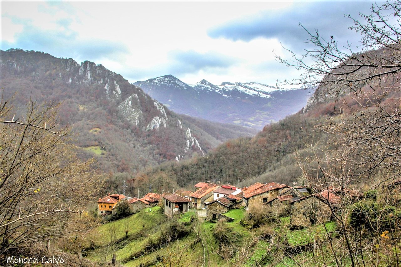 LA DESAPARICIÓN DEL TIU FELIPIN