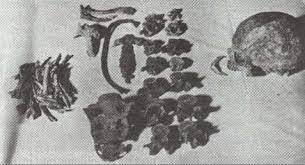 RESTOS MORTALES DE HERNÁN CORTÉS REPOSARÁN EN SU VILLA NATAL, MEDELLÍN (EXTREMDURA-ESPAÑA)