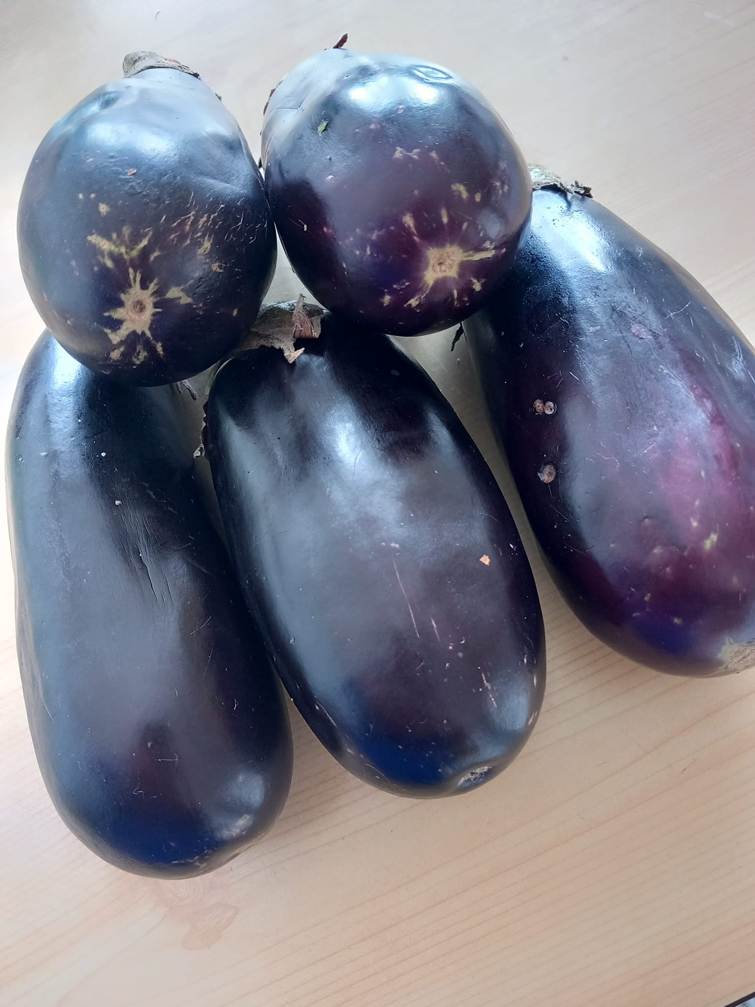 LES HISTORIES DE FIDALGO – TRES COSAS ME TIENEN PRESO…