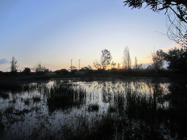 LA LEYENDA DE LAS ENCANTÁS.