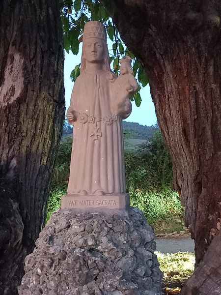 LES HISTORIES DE FIDALGO-HOY . PROCESIÓN  A LA CASTAÑAR DE ESPINA (COLUNGA-ASTURIAS)