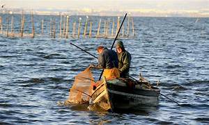 LA ESEV DE LA REAL ACADEMIA DE CULTURA VALENCIANA ORGANIZA UNA ACTIVIDAD CULTURAL EDUCATIVA EN LA ALBUFERA DE VALENCIA
