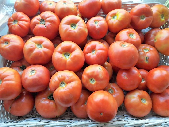UN TOMATE CON SAL. SABOR MONTIJANO