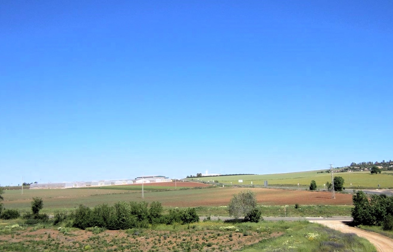 UNA DERROTA DEL EJÉRCITO ESPAÑOL EN MONTIJO (AÑO 1811).