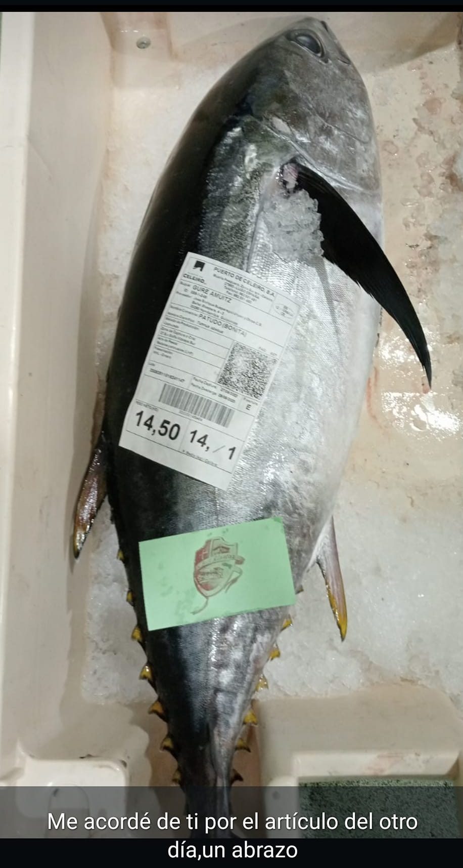 LES HISTORIES DE FIDALGO – UNA BONITA EN EL NORTE , QUE NO «BONITO DEL NORTE»..