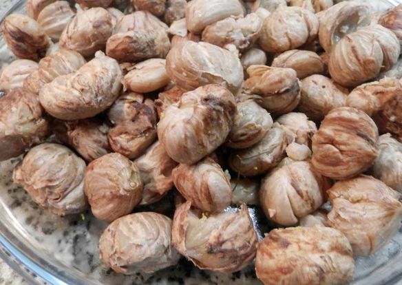 LES HISTORIES DE FIDALGO-LA GUETA , LA PÍA…Y CASTAÑES PA CENAR.-