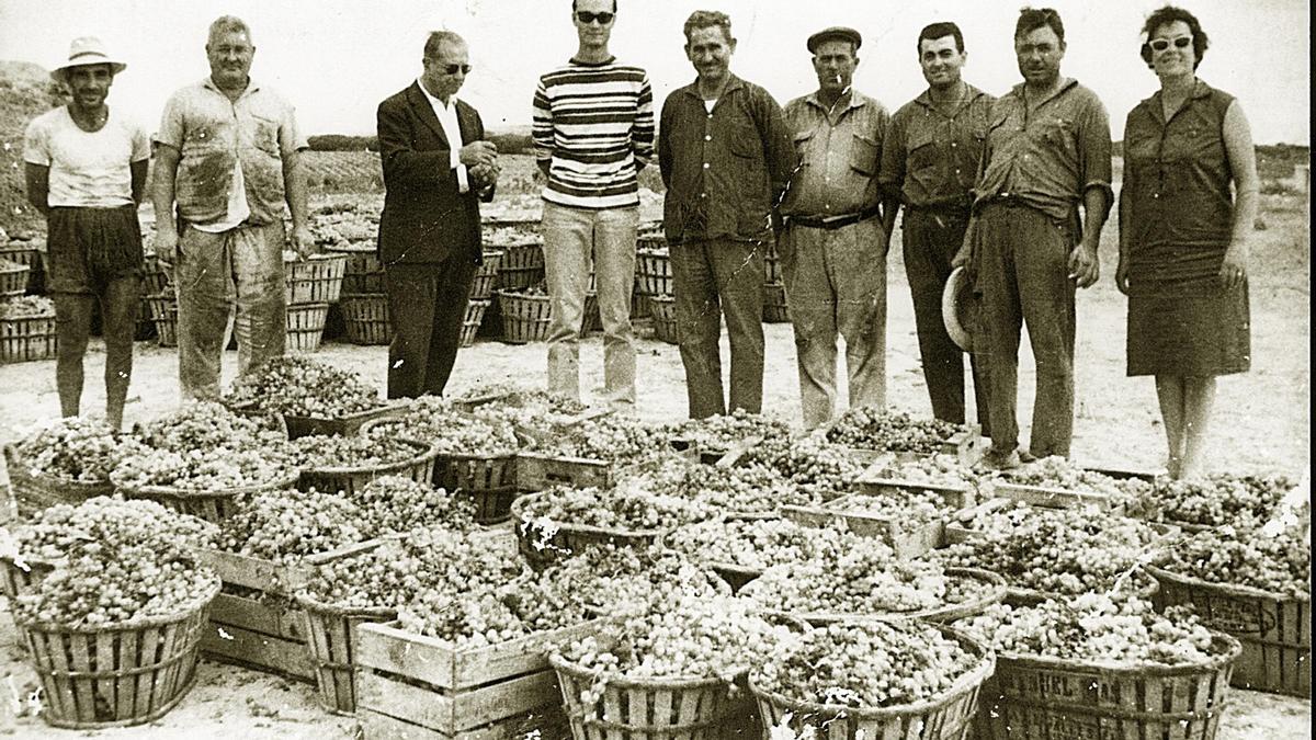 EL VINO DE LA MATA (3)