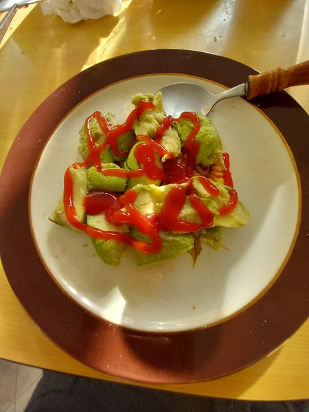 LES HISTORIES DE FIDALGO-PREPARANDO LA NAVIDAD.