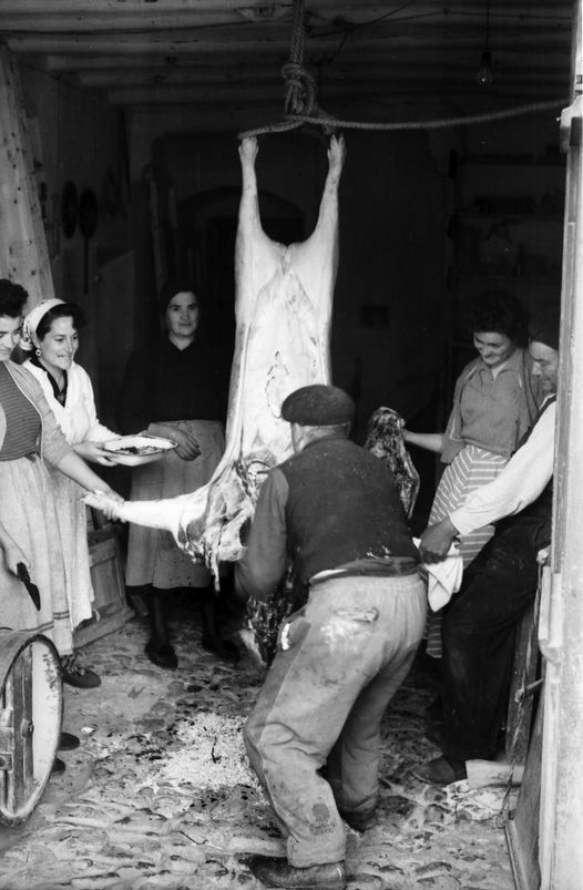 MATAPUERCO EN OLALLA (TERUEL) AÑOS 60