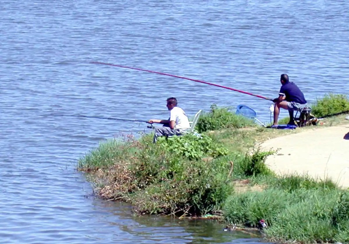 EL LEÓN Y LA COLUMNA .EL SÁNCHEZ DE LOS PECES