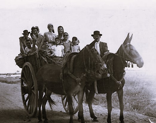 BASTABA UN CARRO TIRADO POR UN PAR DE MULAS, IR BIEN VESTIDOS Y GANAS DE CONVIVENCIA Y DIVERSIÓN.
