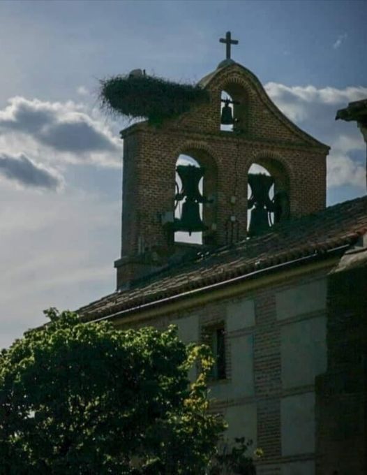 CRÓNICA: AUTOS Y DERECHO.