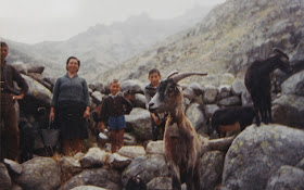 LOS MAJALES DE CABRAS Y OVEJAS