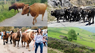 LA MUDA EN CANTABRIA