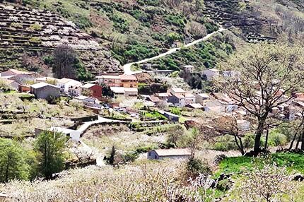 HISTORIAS DE TORNAVACAS (XIV): EL OSO Y EL LOBO EN LOS MONTES Y SIERRAS DE TORNAVACAS