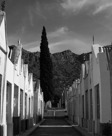 TIEMPO DE MUERTE (25)