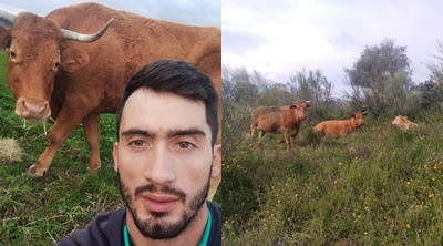 ALEXIS: UN VAQUERO DE DOS VACAS.