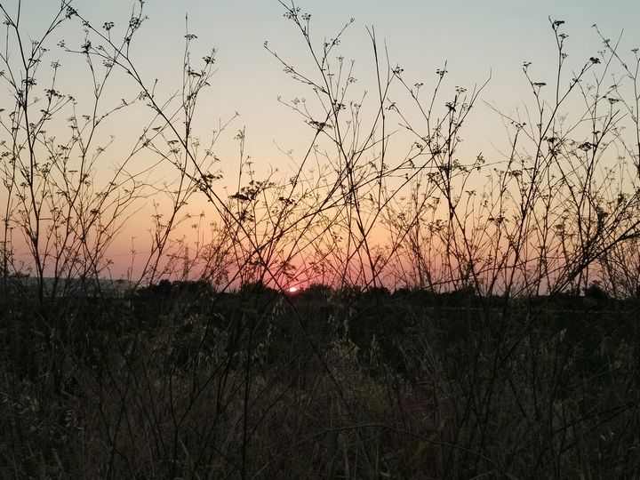 EN EL DÍA MUNDIAL DE LA FOTOGRAFÍA