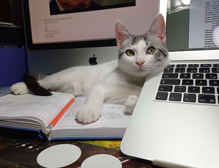 EFEMÉRIDES: BULOS Y «FAKE NEWS» EN 1884