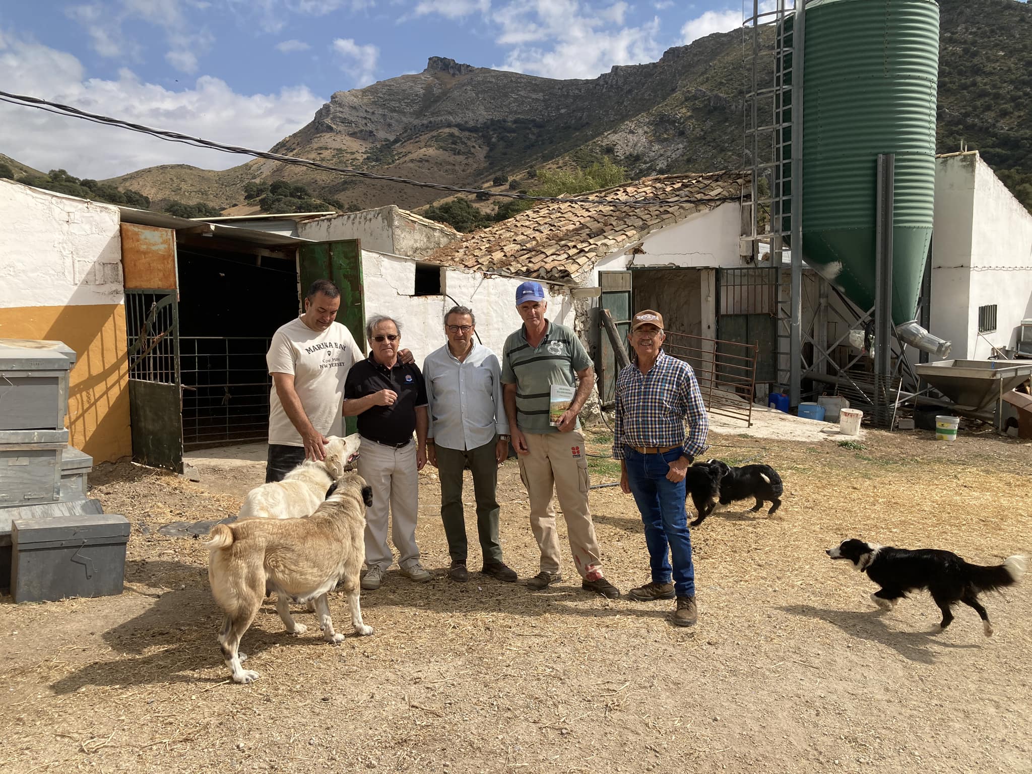 CORTIJO ALTO DE TORRES: LA GANADERÍA.