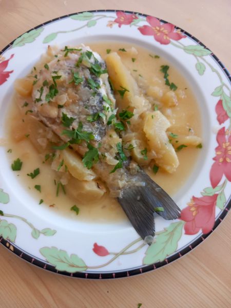 LES HISTORIES DE FIDALGO-PLAZA «JAVIER DE MONTINI»  Y LUBINA «PUMARADA».