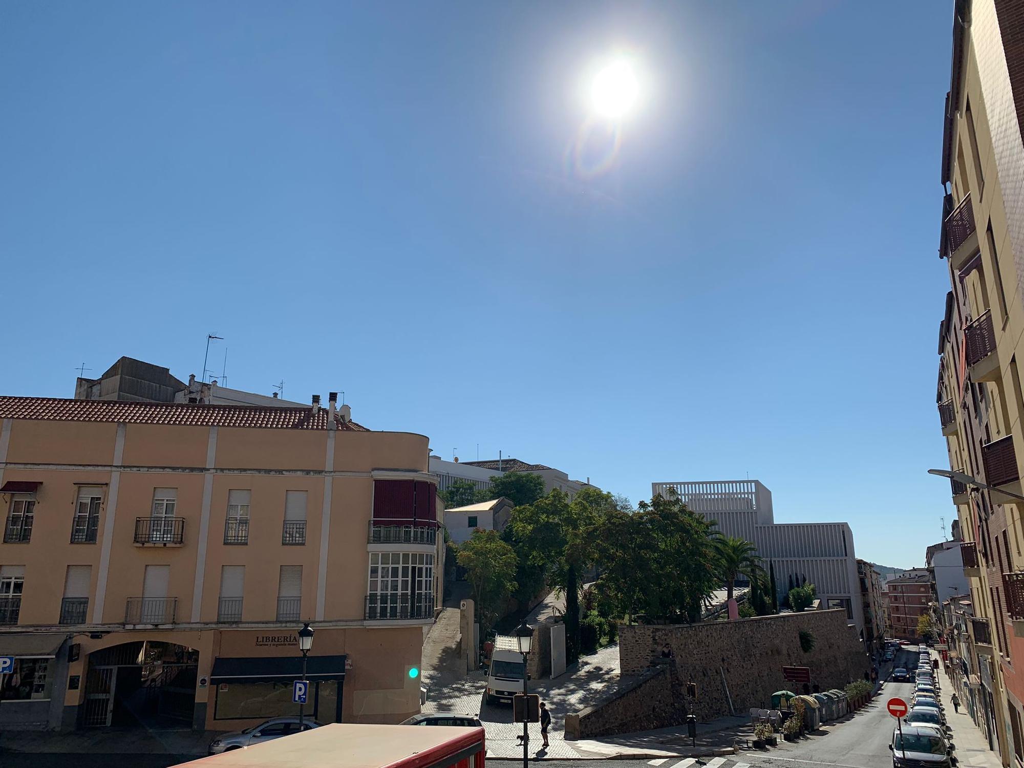 LAS CASAS DE MARRÓN