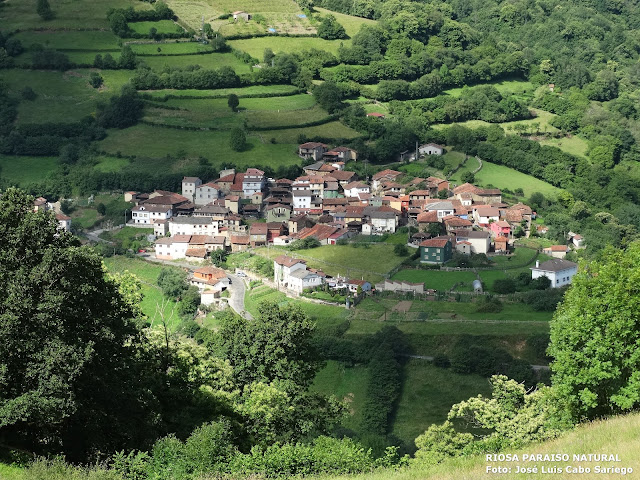 FELGUERA (RIOSA), CAPITAL DEL CONCEJO HASTA EL AÑO 1880.