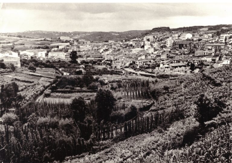 ARRIENDO DE VIÑAS EN COSTA DO MONTE DE BETANZOS EN 1569A