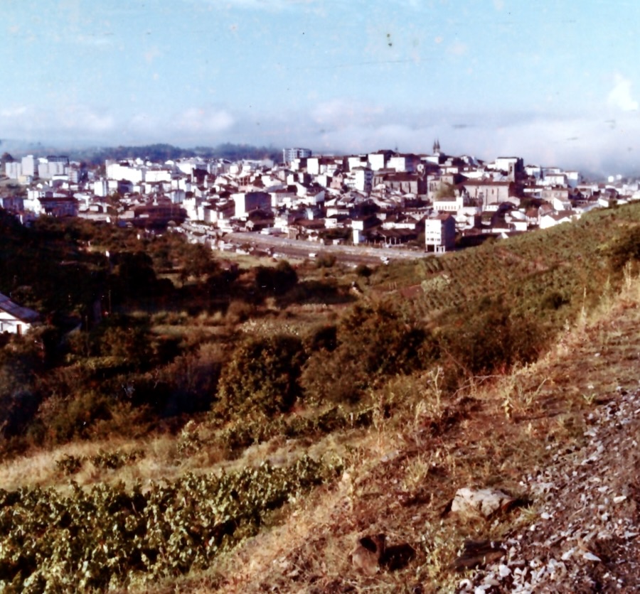 AMPLIOS PODERES PARA LA PROTECCIÓN DE LOS VIÑEDOS DE BETANZOS EN 1799