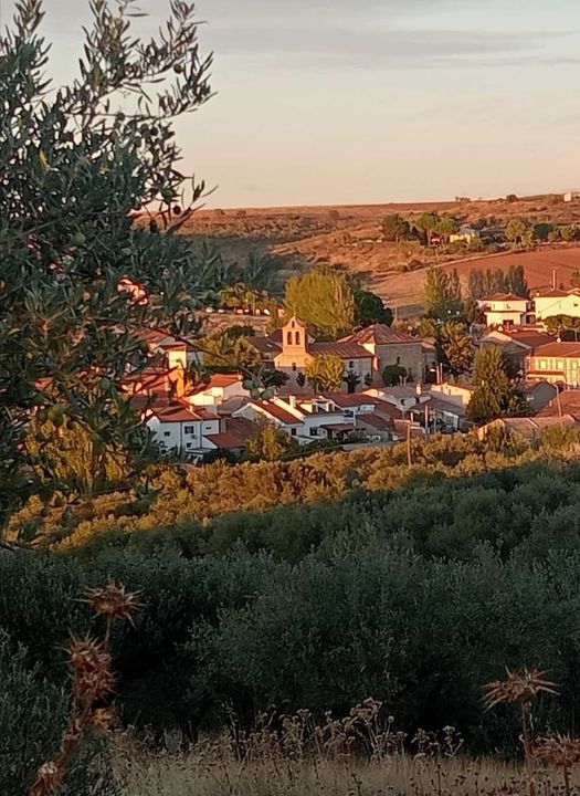 CRÓNICA: VALDEPIÉLAGOS,  FUERO, PASADO Y PRESENTE, AGUSTÍN DE LAS HERAS MARTÍNEZ Cronista Oficial de Valdepiélagos (Madrid) (III)