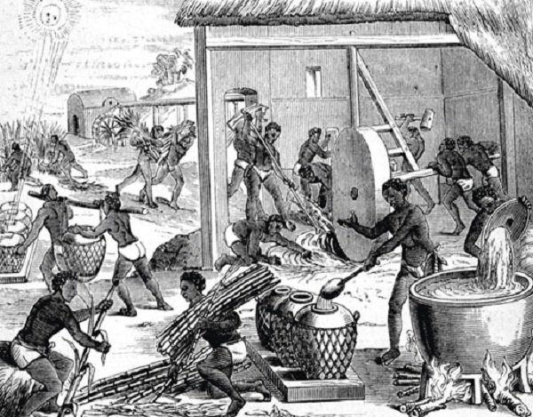 ESCLAVOS EN CANARIAS: EL CASO DEL SEÑORÍO DE AGÜIMES (LIBRO DIGITAL)