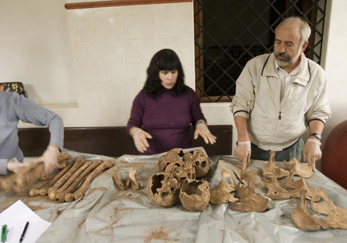 CÓMO LOGRAMOS IDENTIFICAR LOS RESTOS DE SALZILLO
