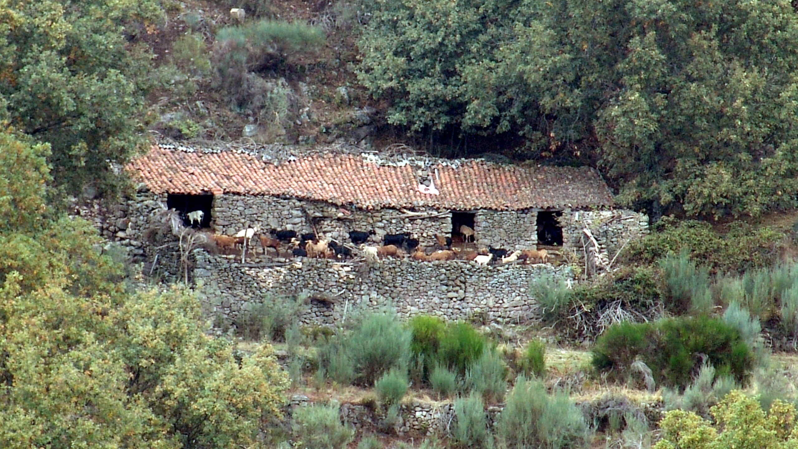 LOS CORRALES DE GUIJO DE SANTA BÁRBARA