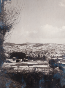 ORDENANZA PARA PROTEGER VIÑEDOS Y HUERTAS, Y ECHAR LOS «PUERCOS» DE BETANZOS EN 1571