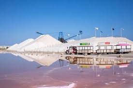 LAS III JORNADAS «SOMOS CAMPO DE SALINAS»