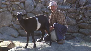 MÁS DE 500.000 VISUALIZACIONES DE «EL CUADERNO DE SILVESTRE»