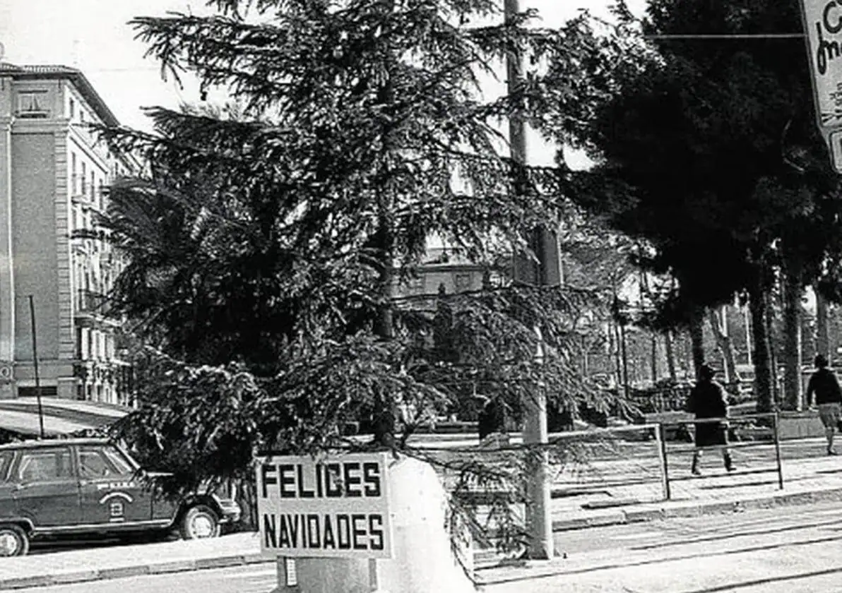 EL ÁRBOL DE NAVIDAD NUNCA CUAJÓ ENTRE LOS MURCIANOS