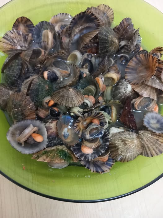 LES HISTORIES DE FIDALGO. LLÁMPARES AL VINO DE CANGAS. (ASTURIAS)