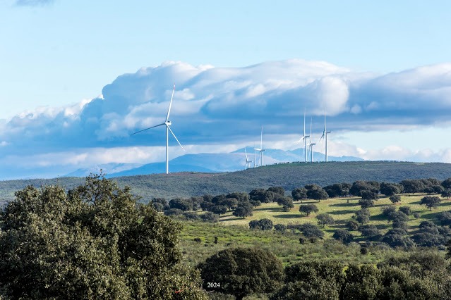 RIOLOBOS. LOS PAISAJES DE LA DEHESA BOYAL. (1)